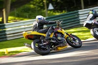 cadwell-no-limits-trackday;cadwell-park;cadwell-park-photographs;cadwell-trackday-photographs;enduro-digital-images;event-digital-images;eventdigitalimages;no-limits-trackdays;peter-wileman-photography;racing-digital-images;trackday-digital-images;trackday-photos